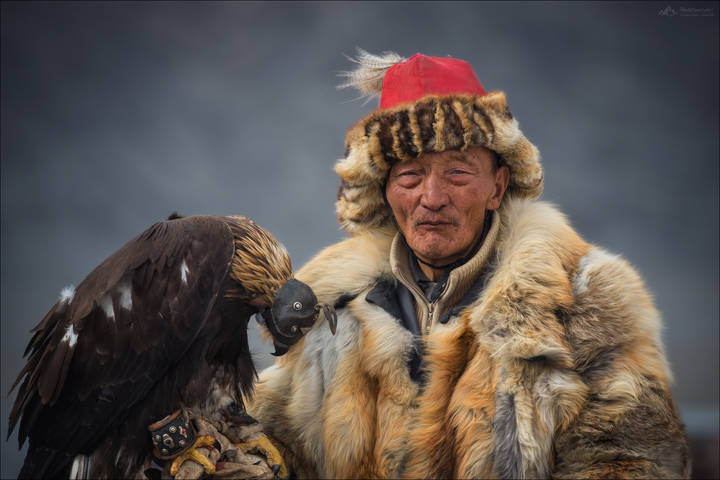Беркутчи