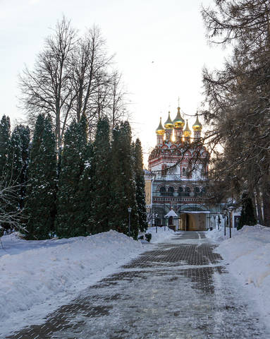 Надвратная церковь