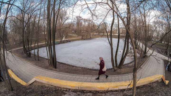 По Весеннему Парку