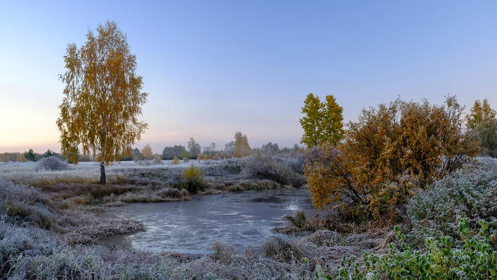 Морозное утро октября