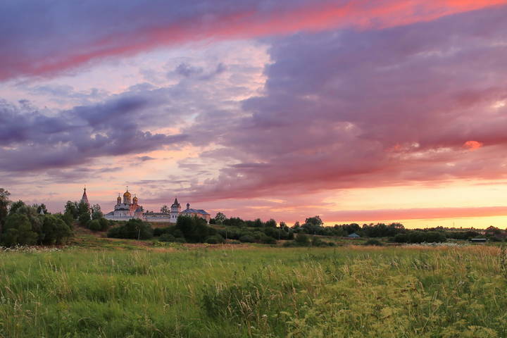 Вечерний фламинго