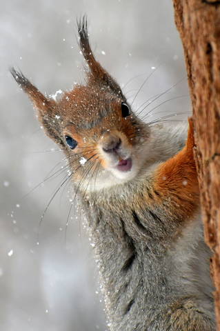 In the winter park..