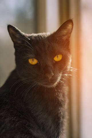 Филимон.