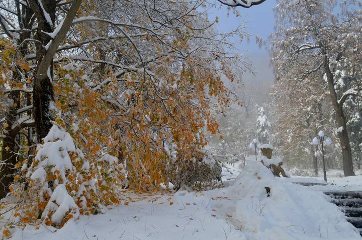 Осенним утром......
