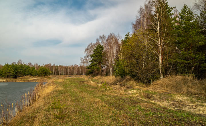 Вербное Воскресенье 2023 года 