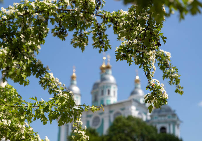 Однажды весной....