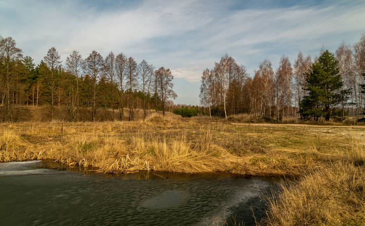 Вербное Воскресенье 2023 года # 04 
