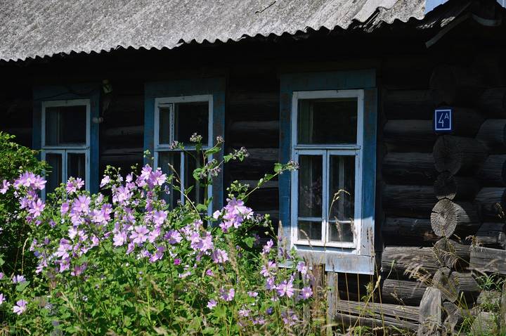 Родной дом. 