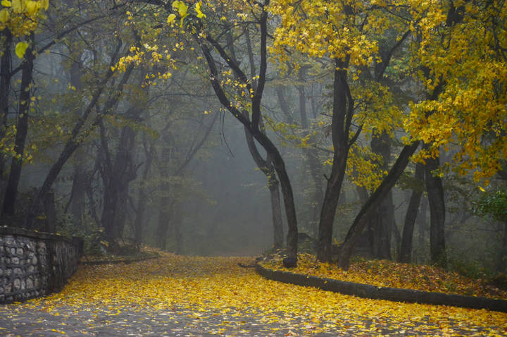 В осеннем парке.....