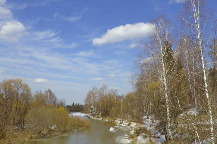 Весенний день на природе