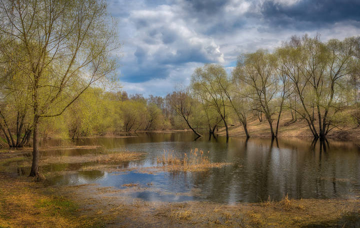 Скалба