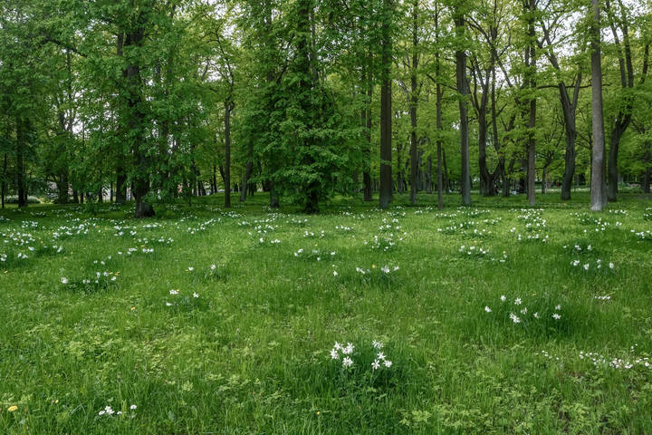 Весна