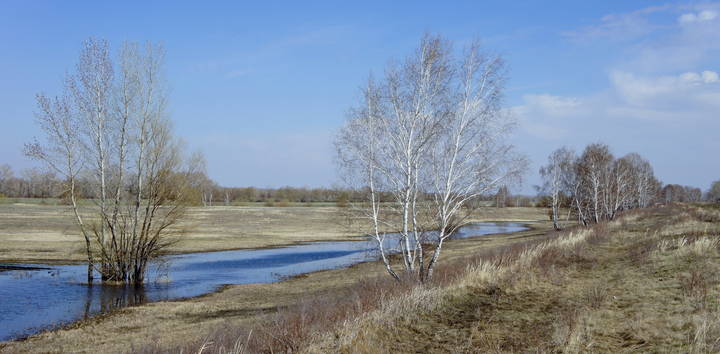 Весенний денек апреля.
