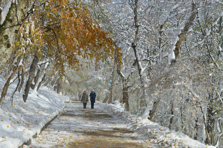 Под осенними сводами.....