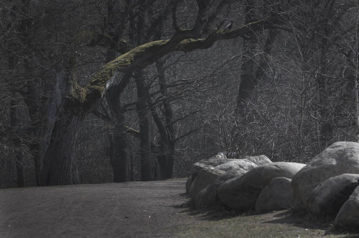 "Under the spreading chestnat tree...