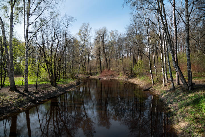 Черная река