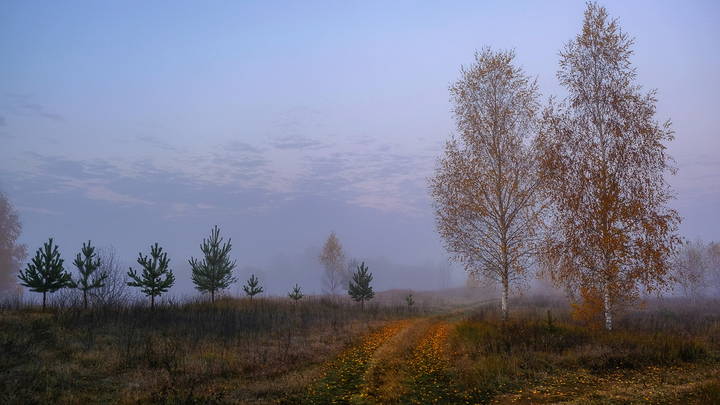 Дорога в осень