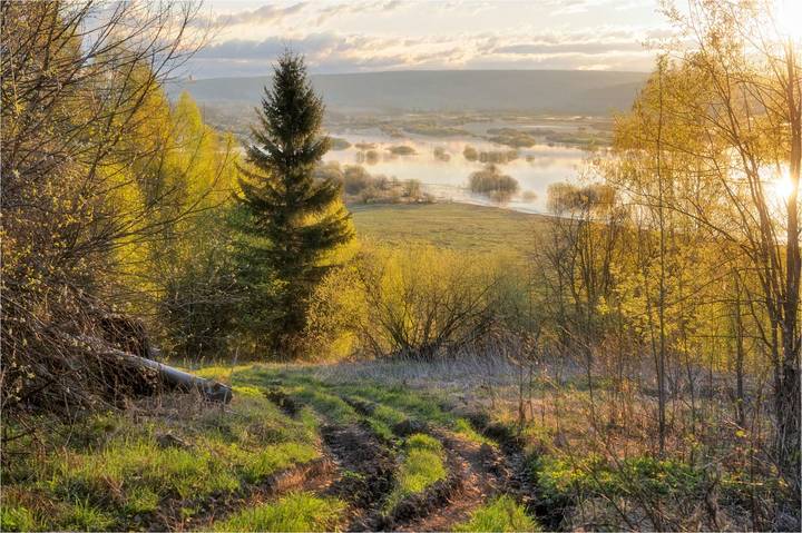 К реке
