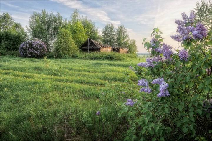 Пора цветения
