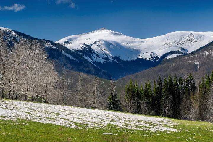 Карпати