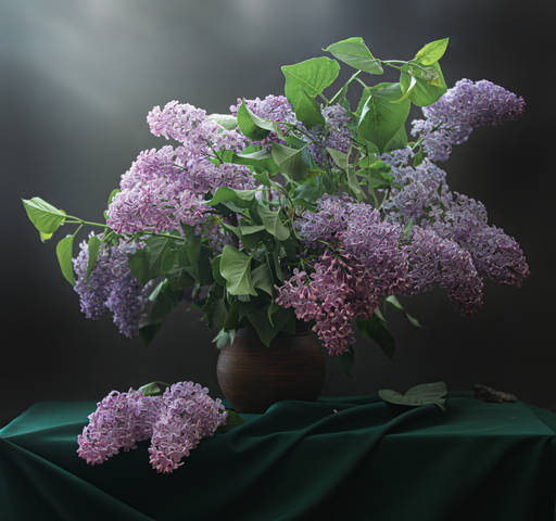 майская сирень