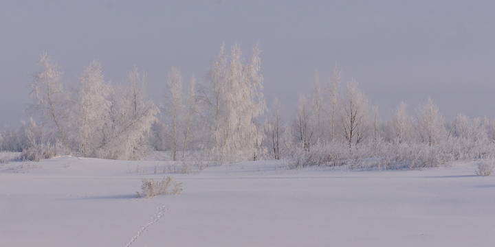Зверьки наследили.