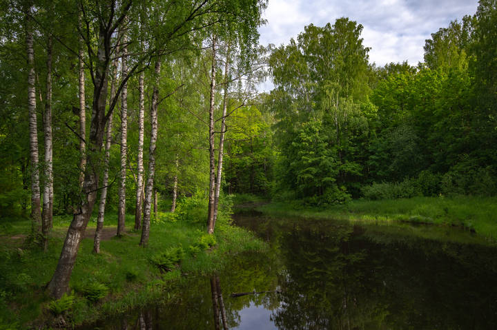 У реки два берега