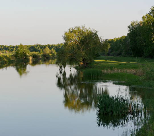 Вечерний пейзаж первого дня лета.