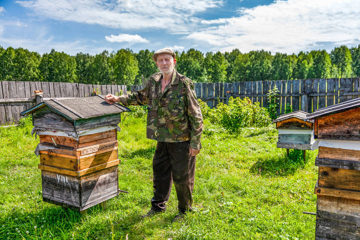 Пасечник