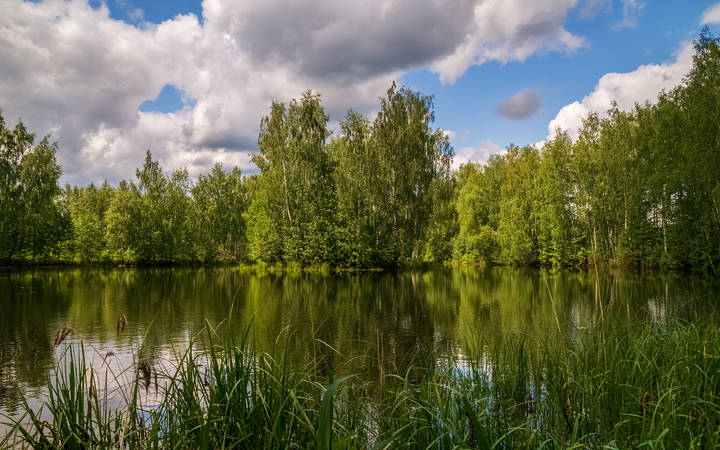 Утро Святой Троицы # 05