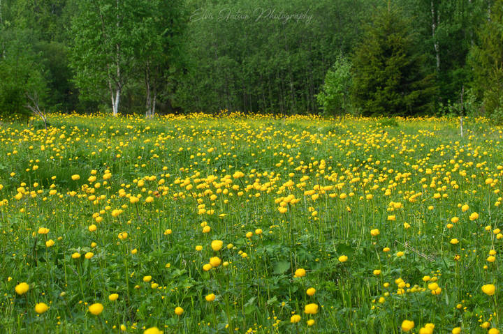 # 2