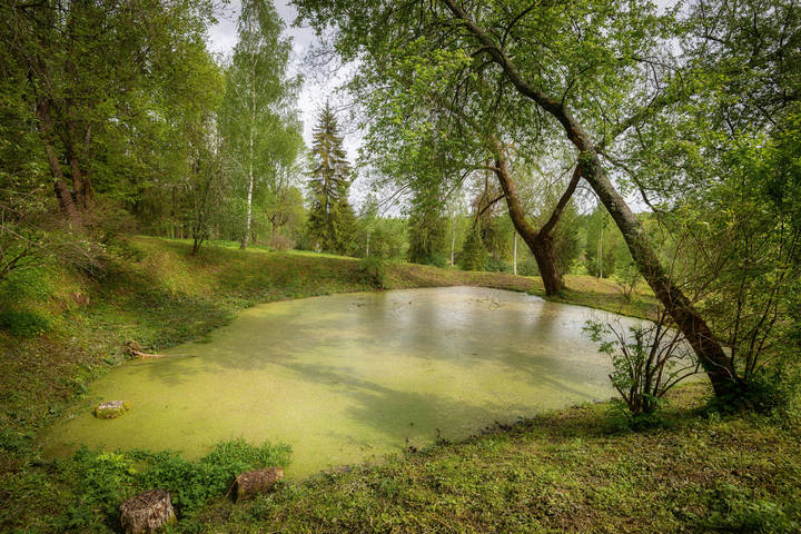 Болотце