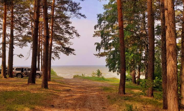У моря на  берегу .