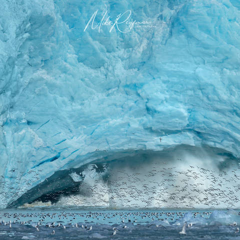 Svalbard-Spitsbergen. Summer in the Arctic Circle