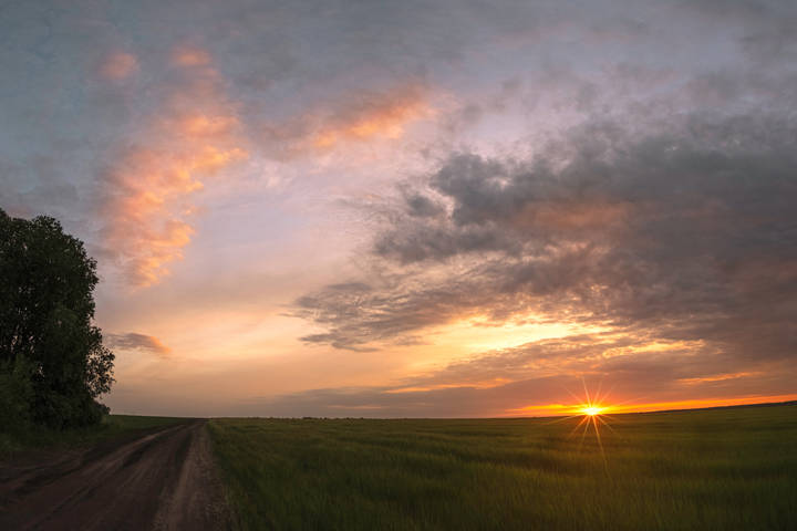 June landscape
