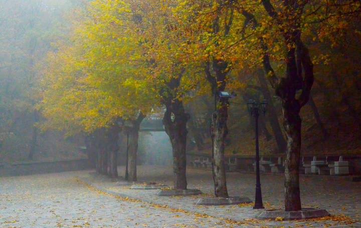 Утром ненастным......