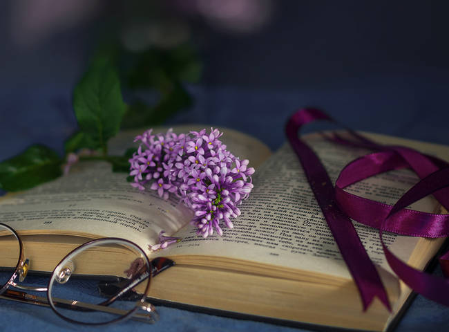 Натюрморт с книгой