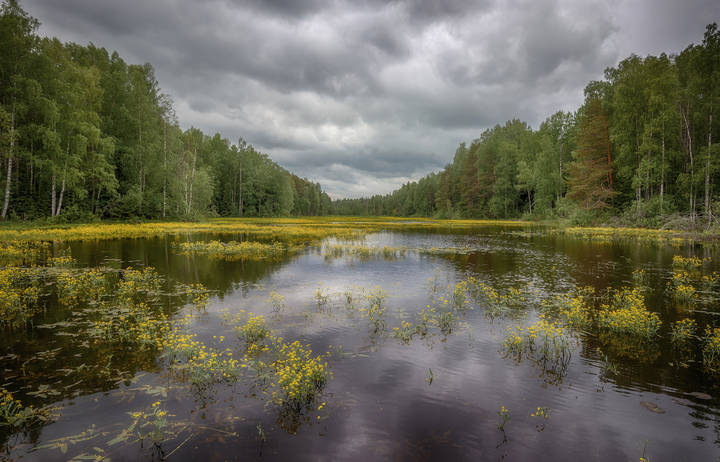 Желтая река
