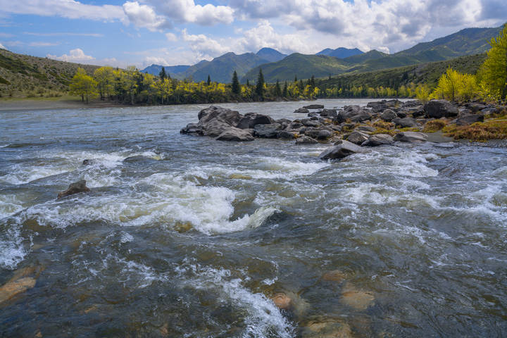 # 1