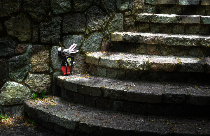 Белый кролик. 