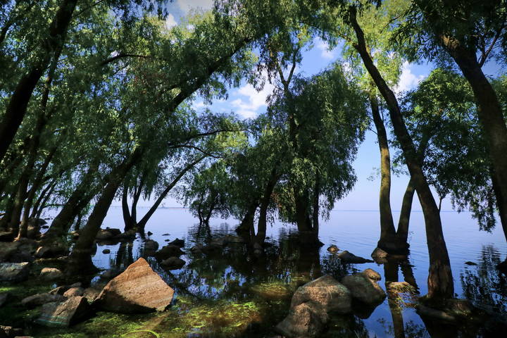  Каменистый берег.