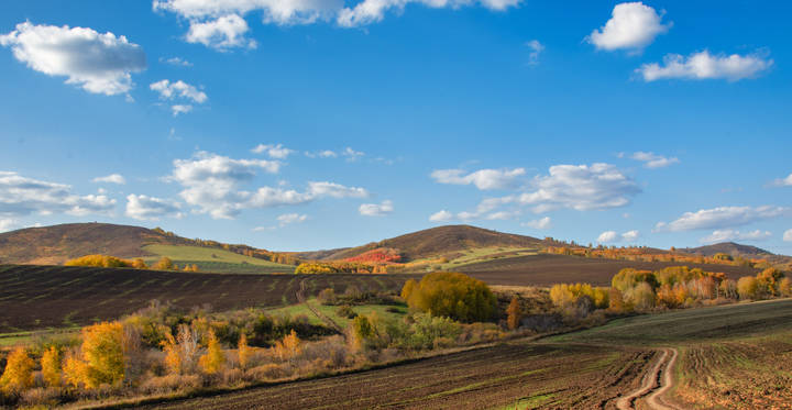 Осень