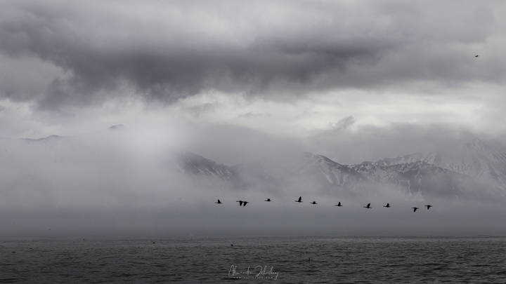 Лето на Камчатке