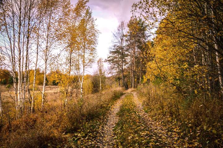 Ушедшая осень. 