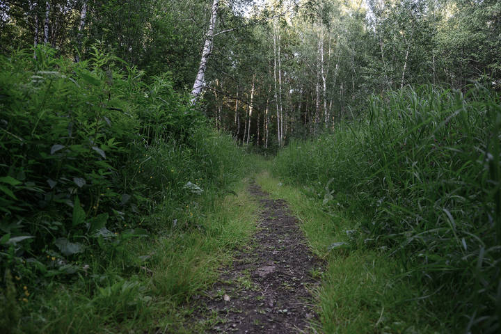 Неизвестная тропинка. 