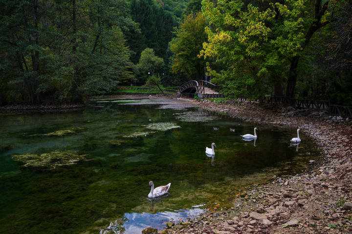 Vrelo Bosne