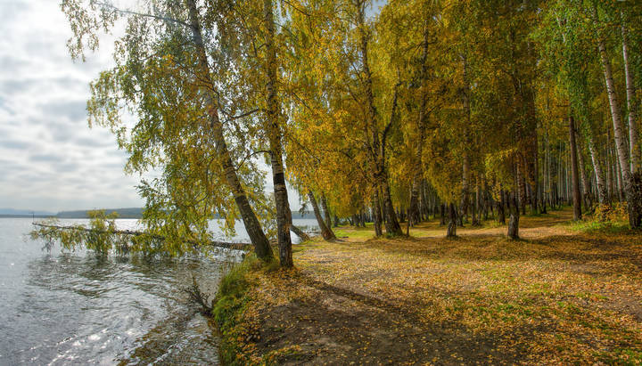 Осенний берег