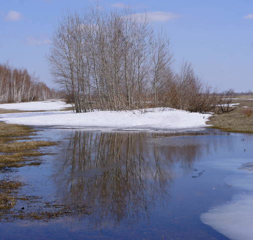 Весенний день.