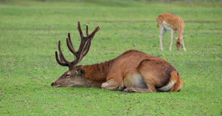 # 1