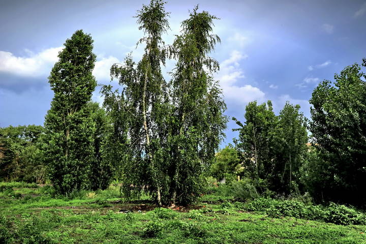  Пейзаж, день, облака, тепло.